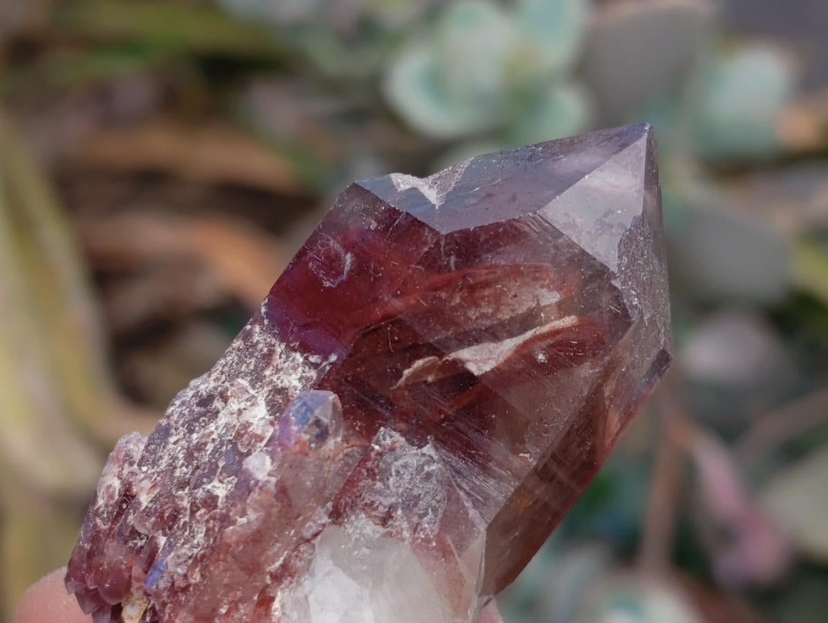 Natural Red Hematoid Quartz Clusters And Crystals x 24 From Karoi, Zimbabwe