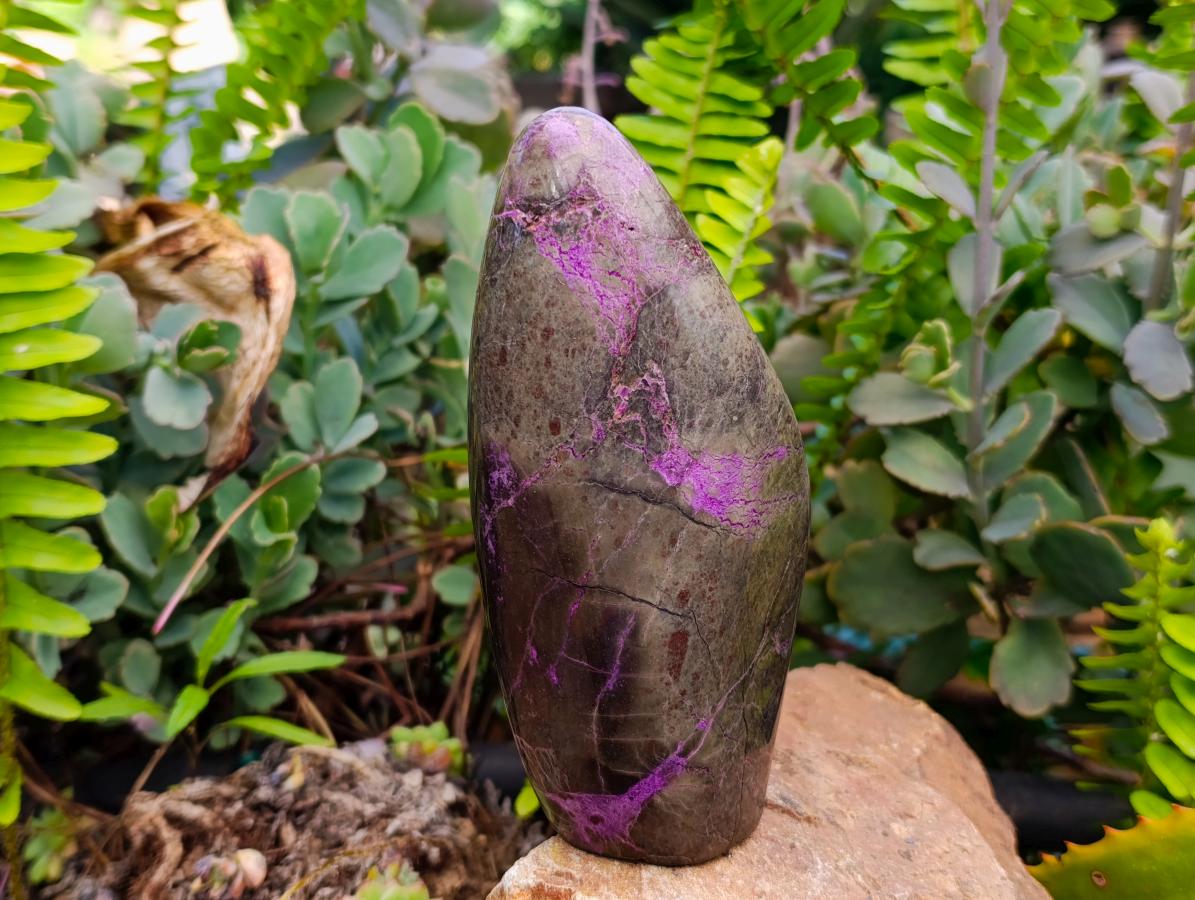 Polished Stichtite Standing Free Forms x 2 From Barberton, South Africa