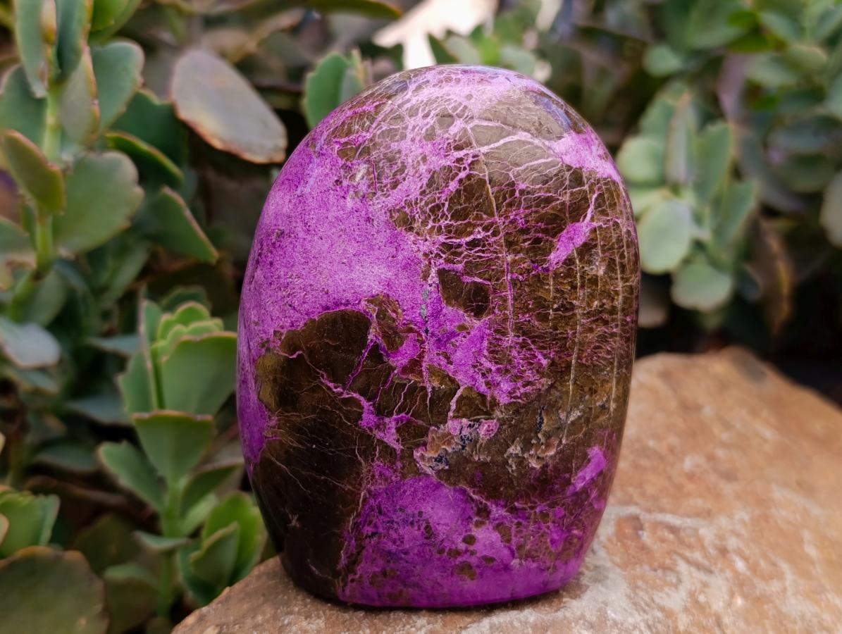 Polished Stichtite Standing Free Forms x 2 From Barberton, South Africa