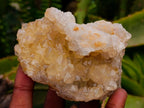 Natural Golden Limonite Quartz Clusters x 6 From Solwezi Zambia