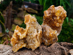 Natural Golden Limonite Quartz Clusters x 6 From Solwezi Zambia
