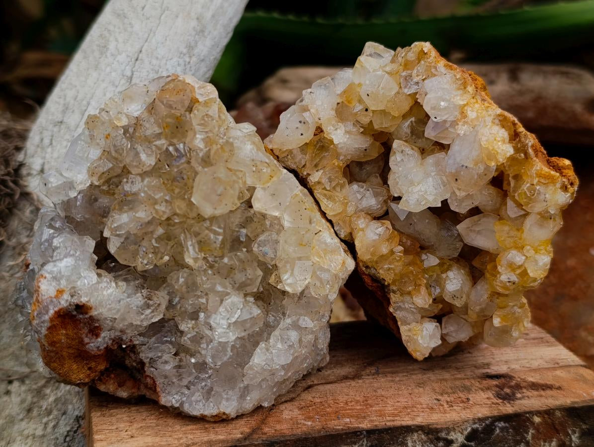 Natural Golden Limonite Quartz Clusters x 6 From Solwezi Zambia