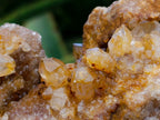 Natural Golden Limonite Quartz Clusters x 6 From Solwezi Zambia