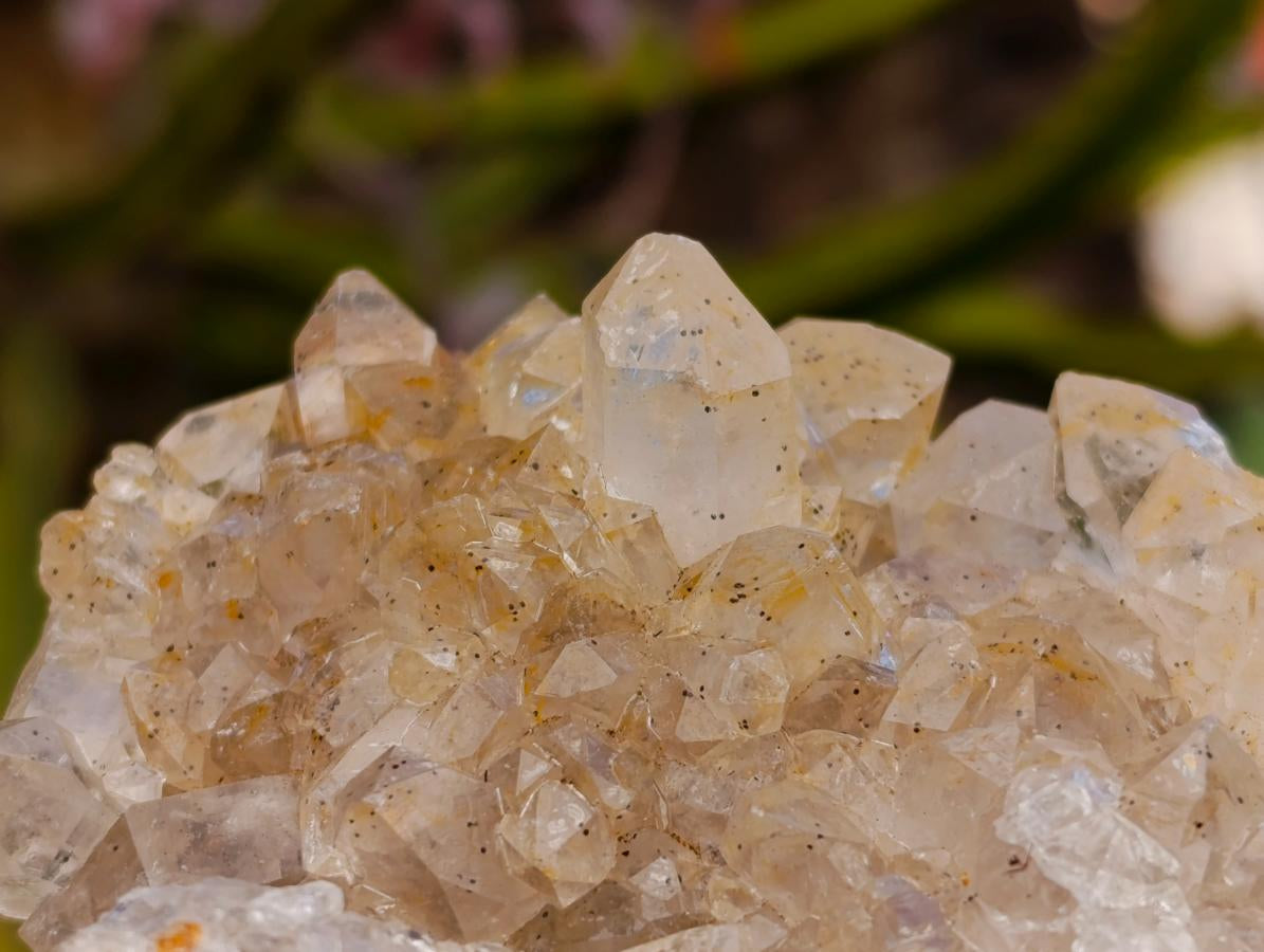 Natural Golden Limonite Quartz Clusters x 6 From Solwezi Zambia