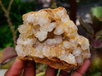 Natural Golden Limonite Quartz Clusters x 6 From Solwezi Zambia
