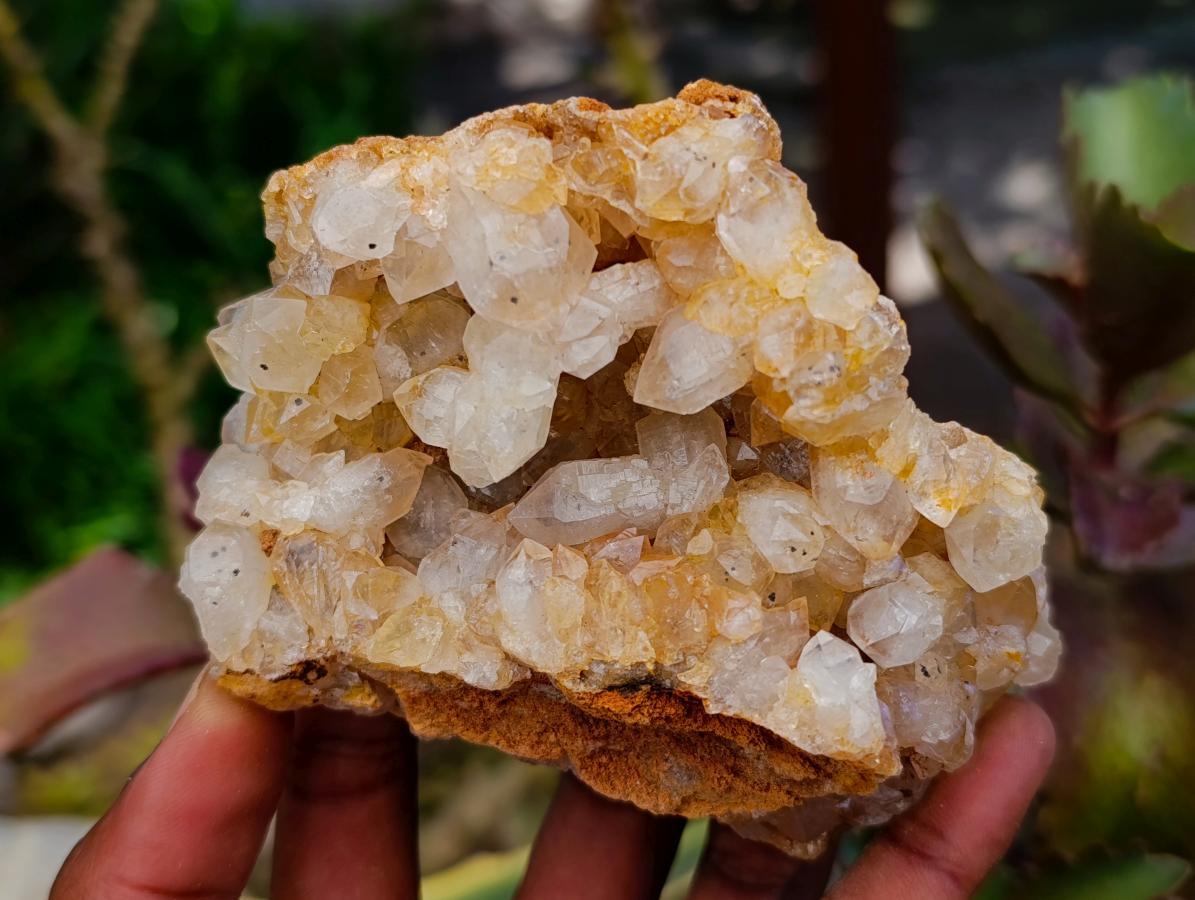 Natural Golden Limonite Quartz Clusters x 6 From Solwezi Zambia