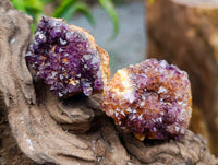 Natural Amethystos Amethyst Cluster Plates x 70 From Kwaggafontein, South Africa