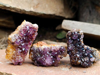 Natural Amethystos Amethyst Cluster Plates x 70 From Kwaggafontein, South Africa