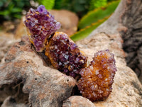 Natural Amethystos Amethyst Cluster Plates x 70 From Kwaggafontein, South Africa