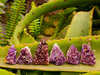 Natural Amethystos Amethyst Cluster Plates x 70 From Kwaggafontein, South Africa