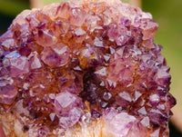 Natural Amethystos Amethyst Cluster Plates x 70 From Kwaggafontein, South Africa
