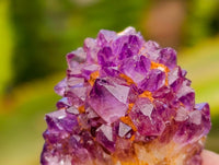 Natural Amethystos Amethyst Cluster Plates x 70 From Kwaggafontein, South Africa