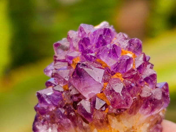Natural Amethystos Amethyst Cluster Plates x 70 From Kwaggafontein, South Africa