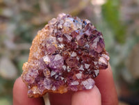 Natural Amethystos Amethyst Cluster Plates x 70 From Kwaggafontein, South Africa