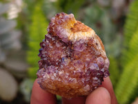 Natural Amethystos Amethyst Cluster Plates x 70 From Kwaggafontein, South Africa