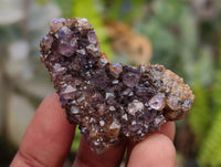 Natural Amethystos Amethyst Cluster Plates x 70 From Kwaggafontein, South Africa