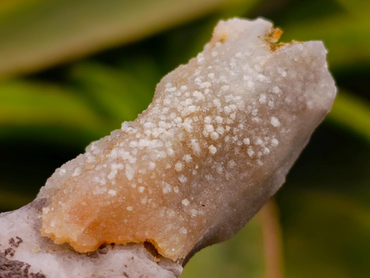 Natural Drusy Quartz Coated Spearhead Calcite Specimens x 12 From Albert's Mountain, Lesotho