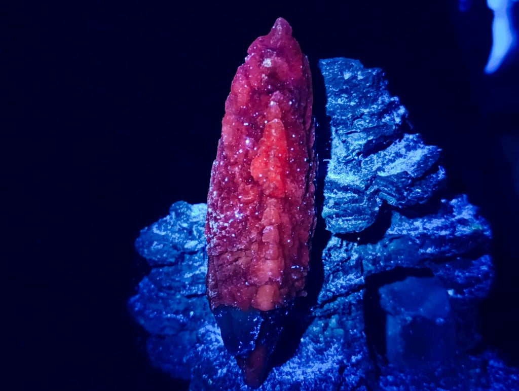 Natural Drusy Quartz Coated Spearhead Calcite Specimens x 12 From Albert's Mountain, Lesotho