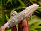 Natural Drusy Quartz Coated Spearhead Calcite Specimens x 12 From Albert's Mountain, Lesotho