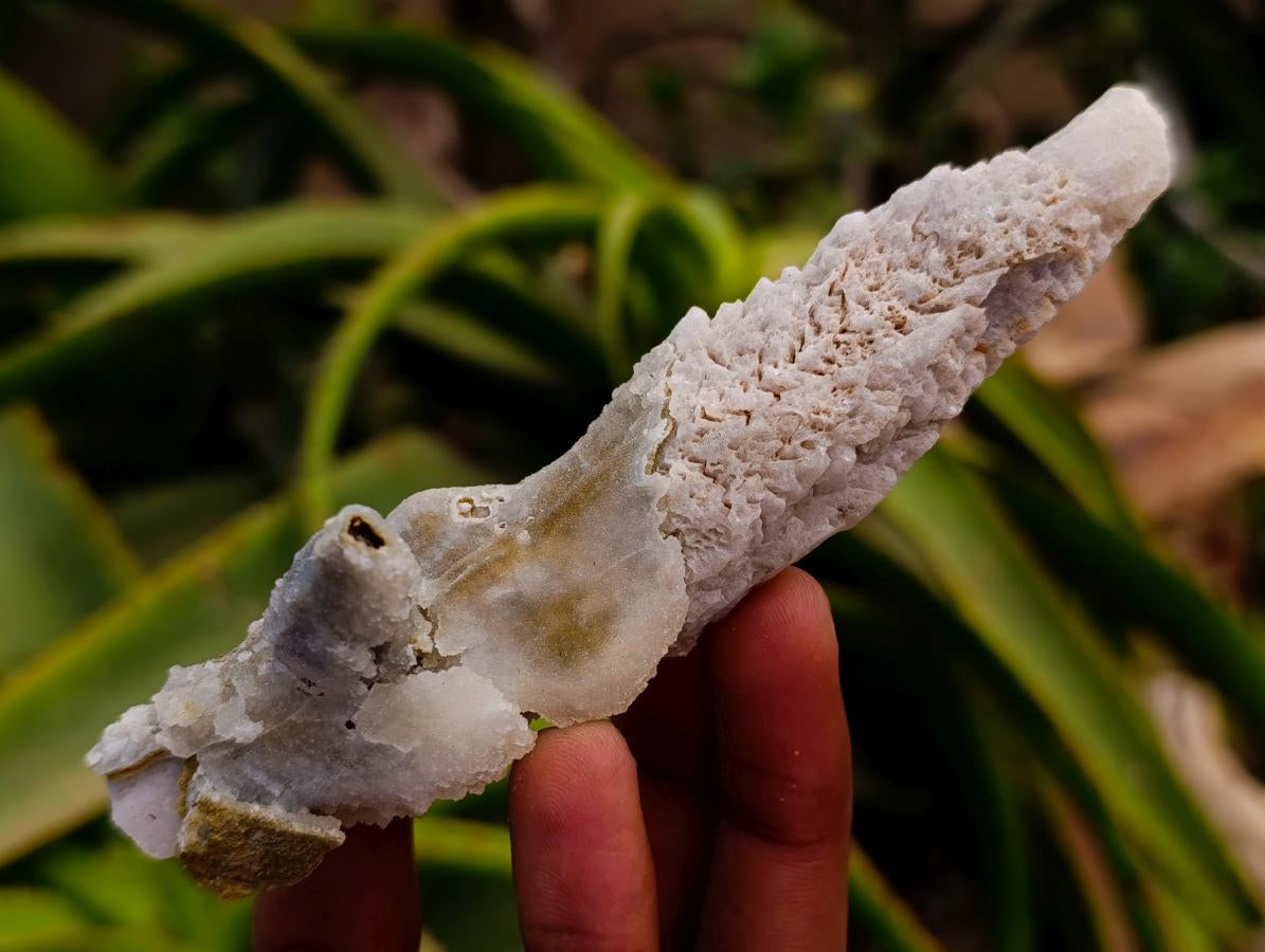 Natural Drusy Quartz Coated Spearhead Calcite Specimens x 12 From Albert's Mountain, Lesotho