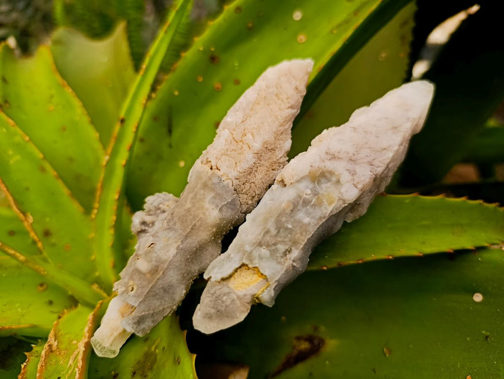Natural Drusy Quartz Coated Spearhead Calcite Specimens x 12 From Albert's Mountain, Lesotho