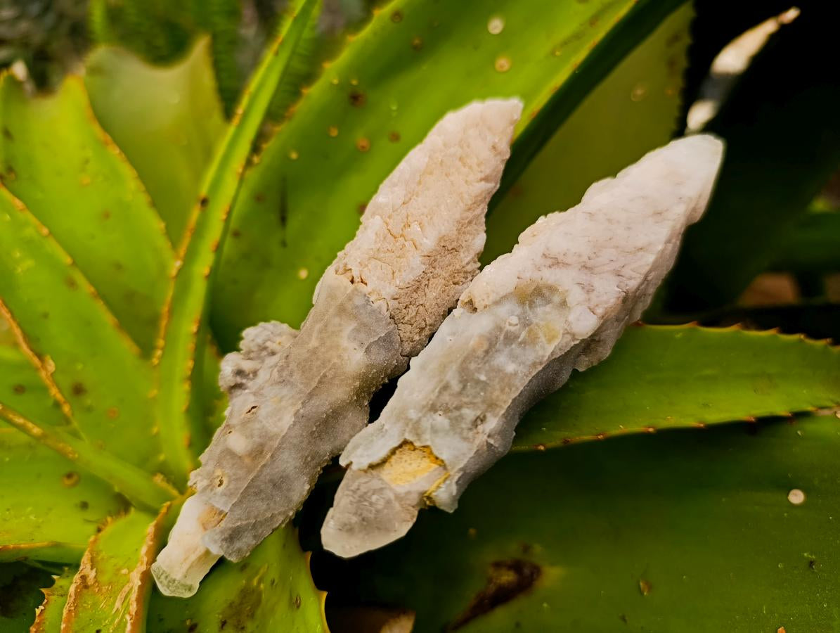 Natural Drusy Quartz Coated Spearhead Calcite Specimens x 12 From Albert's Mountain, Lesotho