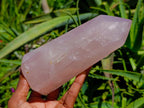 Polished Rose Quartz Crystals x 2 From Madagascar