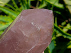 Polished Rose Quartz Crystals x 2 From Madagascar