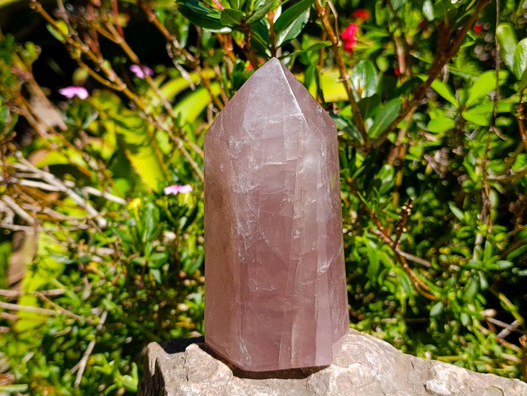 Polished Rose Quartz Crystals x 2 From Madagascar