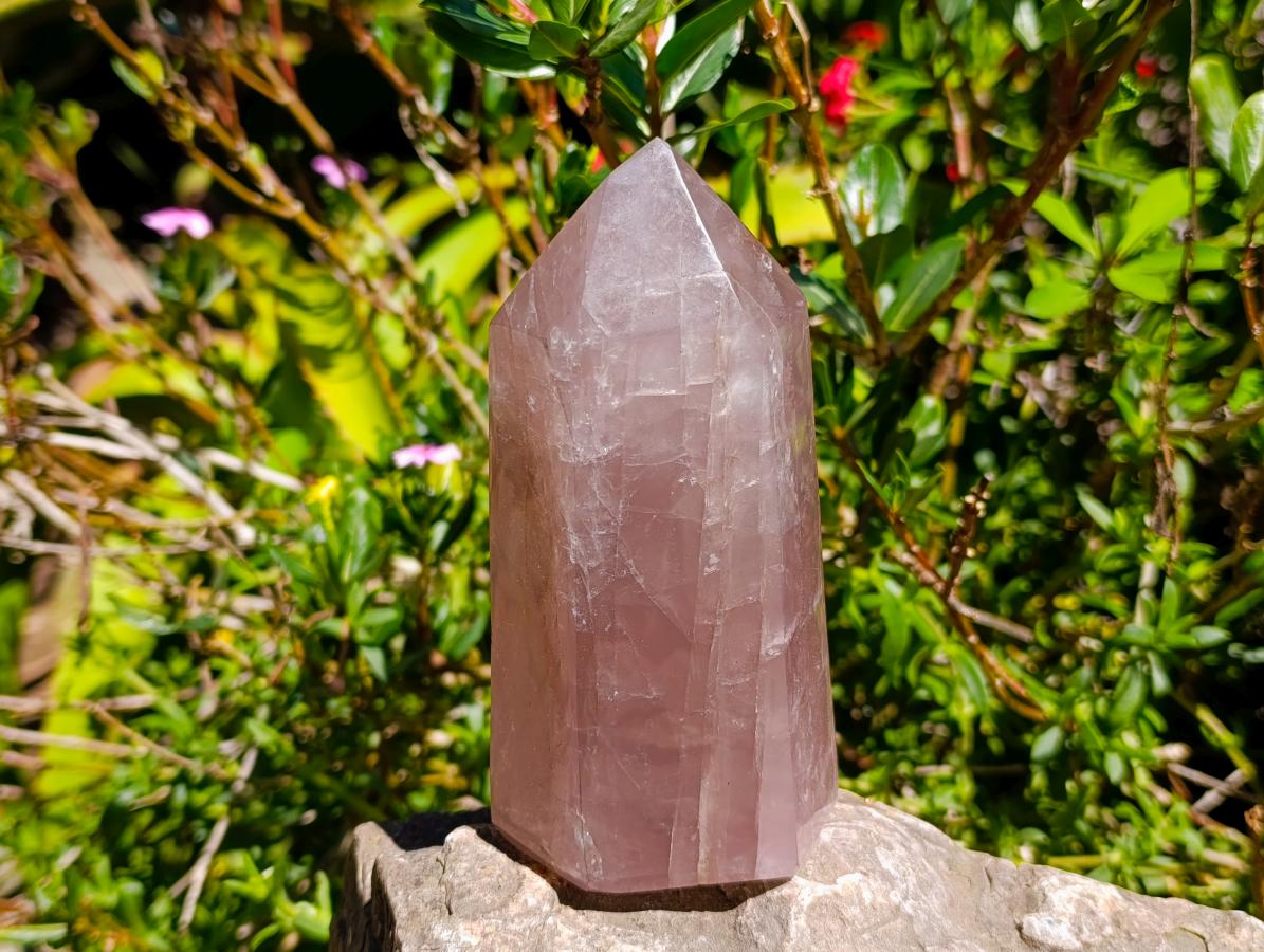 Polished Rose Quartz Crystals x 2 From Madagascar