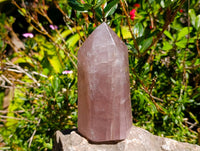 Polished Rose Quartz Crystals x 2 From Madagascar
