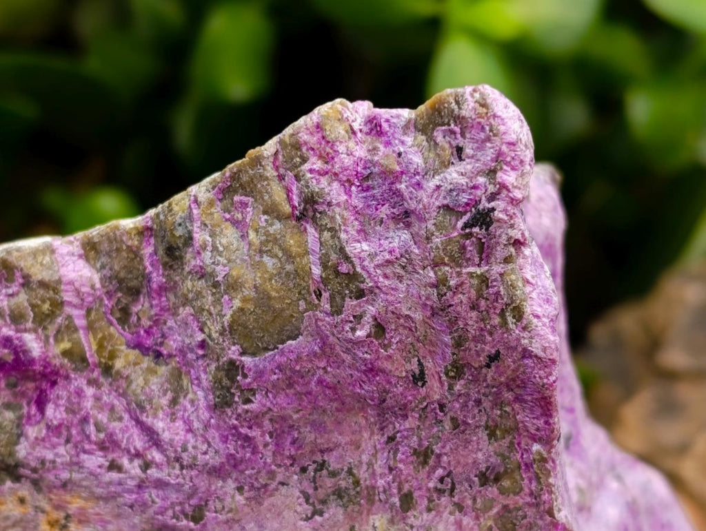 Natural Stichtite Cobbed Specimens x 3 From Barberton, South Africa