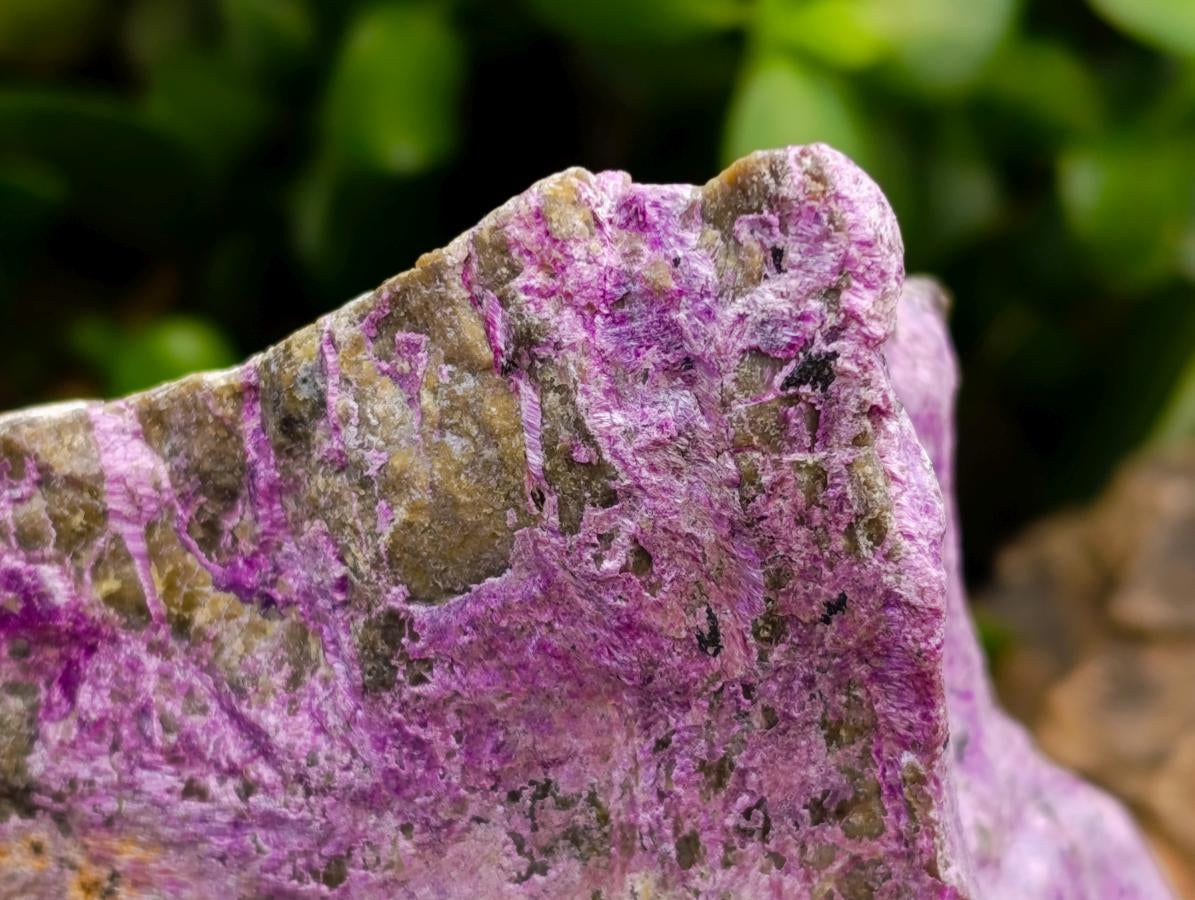 Natural Stichtite Cobbed Specimens x 3 From Barberton, South Africa