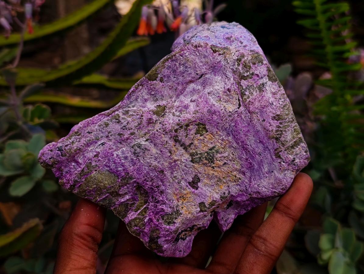 Natural Stichtite Cobbed Specimens x 3 From Barberton, South Africa