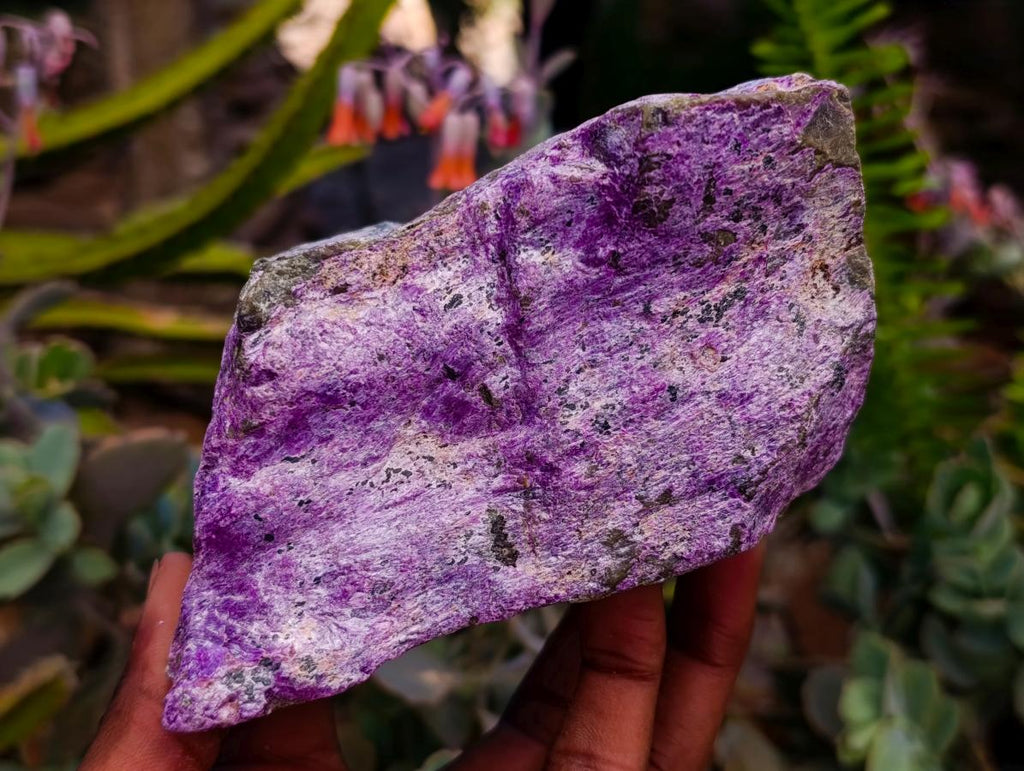 Natural Stichtite Cobbed Specimens x 3 From Barberton, South Africa