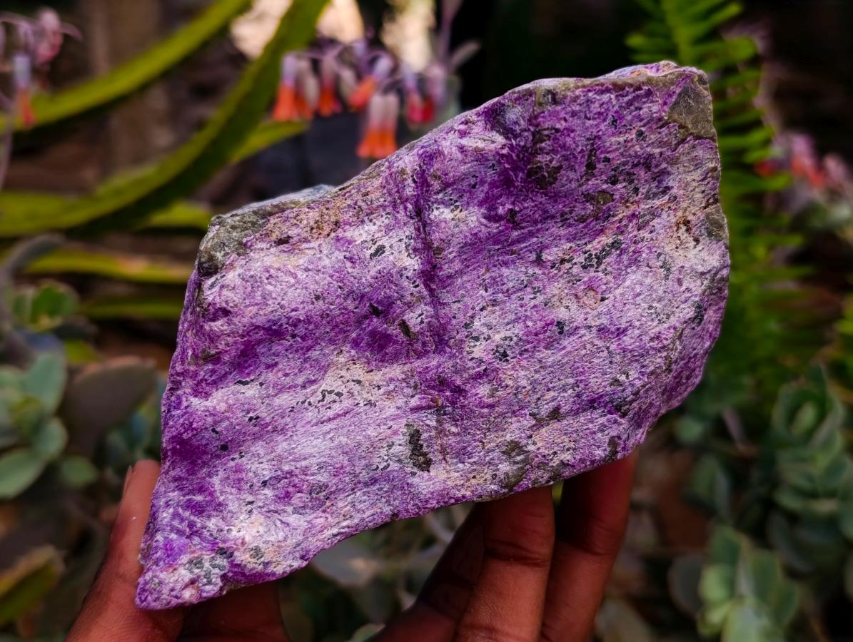 Natural Stichtite Cobbed Specimens x 3 From Barberton, South Africa