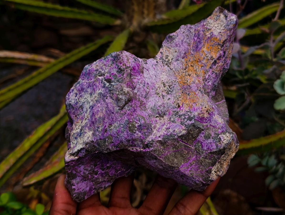 Natural Stichtite Cobbed Specimens x 3 From Barberton, South Africa