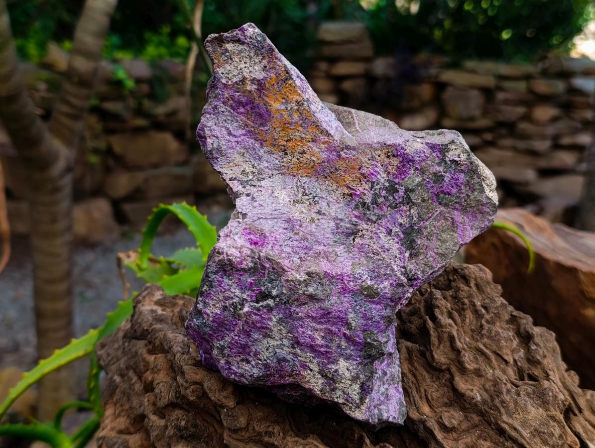 Natural Stichtite Cobbed Specimens x 3 From Barberton, South Africa