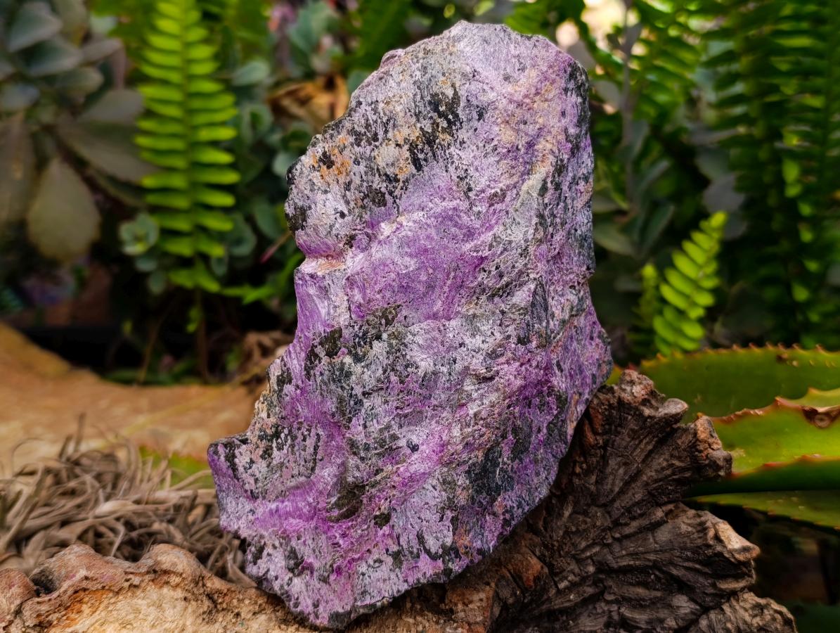 Natural Stichtite Cobbed Specimens x 3 From Barberton, South Africa