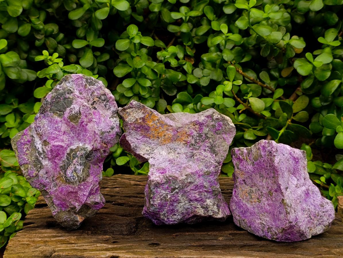 Natural Stichtite Cobbed Specimens x 3 From Barberton, South Africa