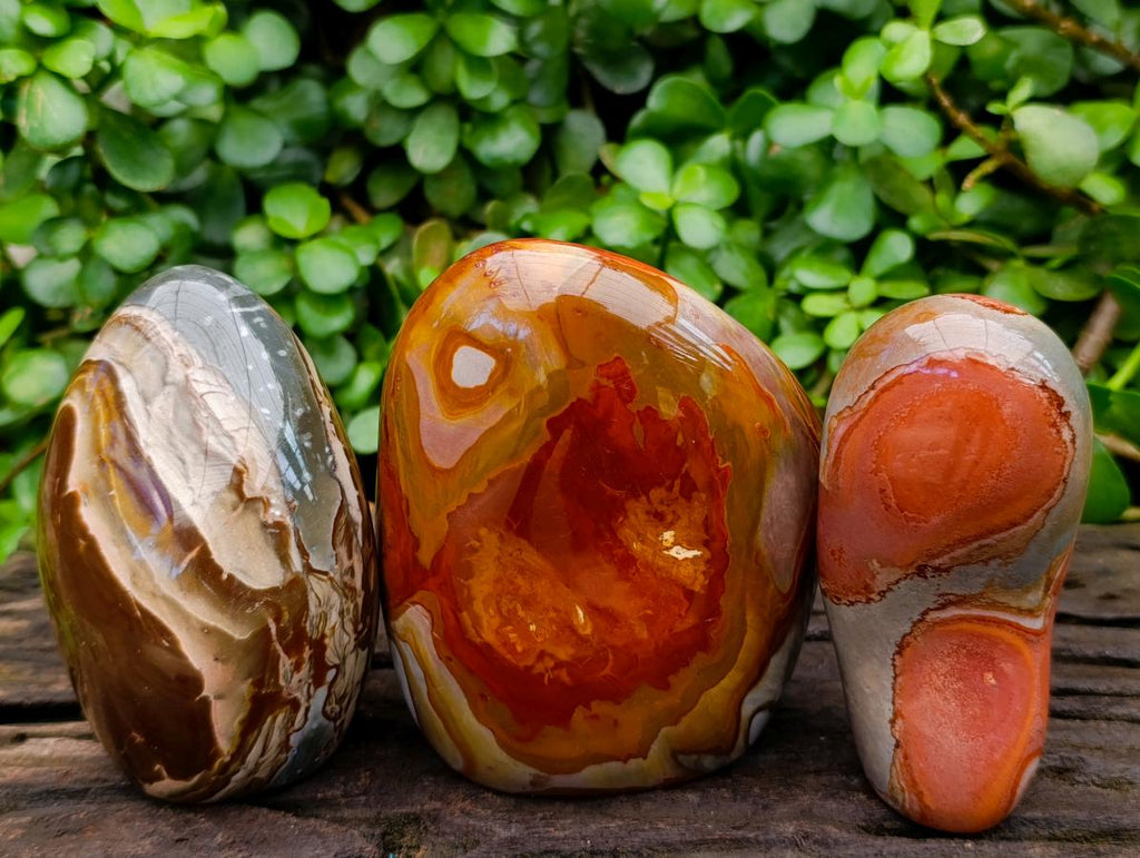 Polished Polychrome Jasper Standing Free Forms x 3 From NW Coast, Madagascar