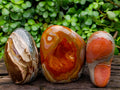 Polished Polychrome Jasper Standing Free Forms x 3 From NW Coast, Madagascar - Toprock Gemstones and Minerals 
