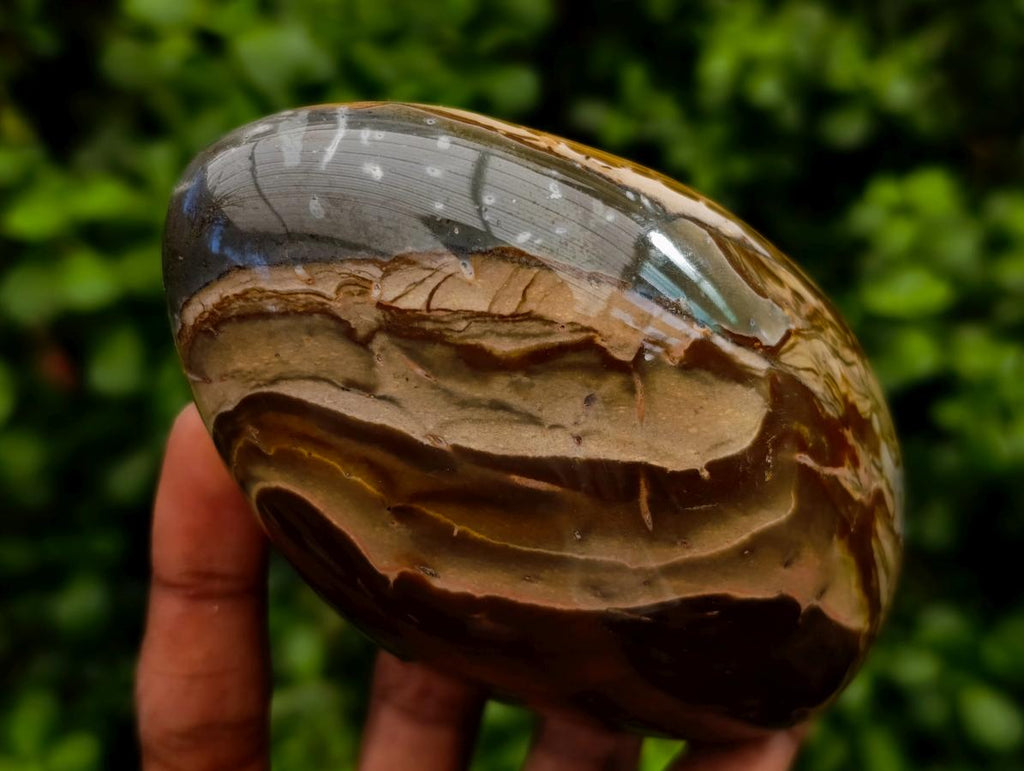 Polished Polychrome Jasper Standing Free Forms x 3 From NW Coast, Madagascar
