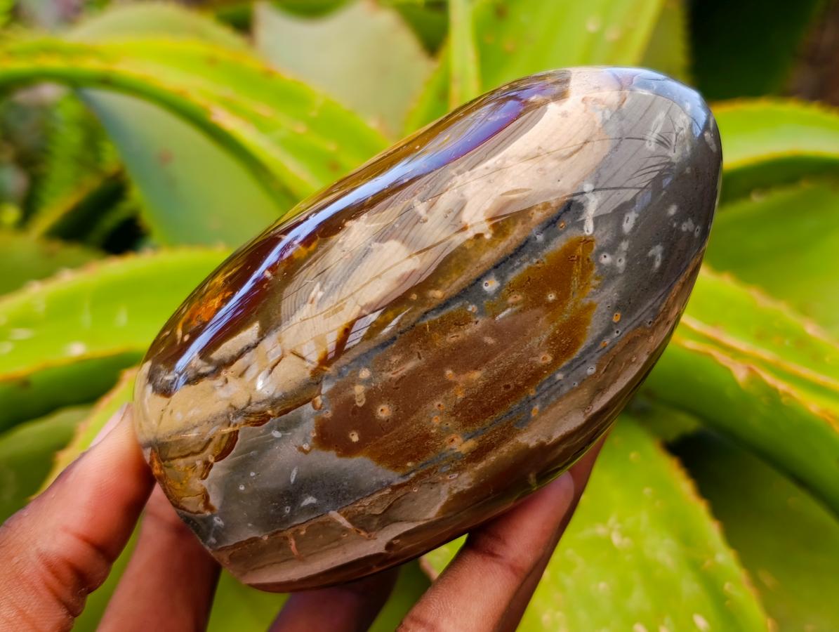 Polished Polychrome Jasper Standing Free Forms x 3 From NW Coast, Madagascar