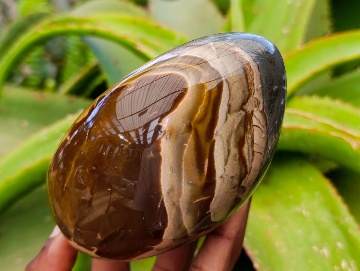 Polished Polychrome Jasper Standing Free Forms x 3 From NW Coast, Madagascar