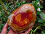 Polished Polychrome Jasper Standing Free Forms x 3 From NW Coast, Madagascar