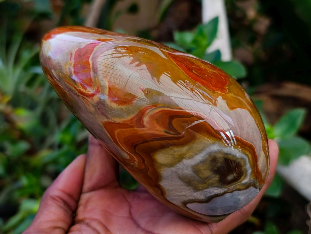 Polished Polychrome Jasper Standing Free Forms x 3 From NW Coast, Madagascar
