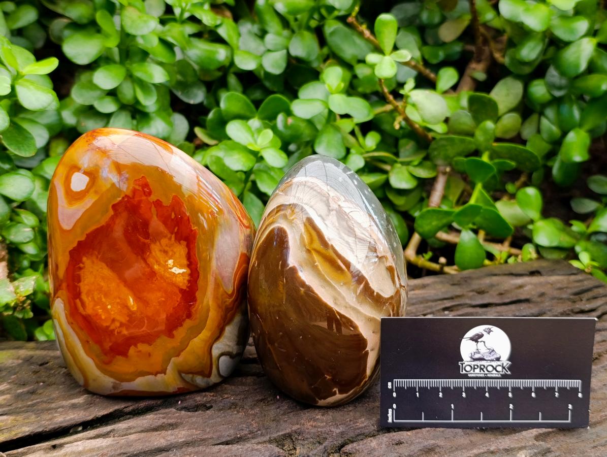 Polished Polychrome Jasper Standing Free Forms x 3 From NW Coast, Madagascar
