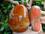 Polished Polychrome Jasper Standing Free Forms x 3 From NW Coast, Madagascar
