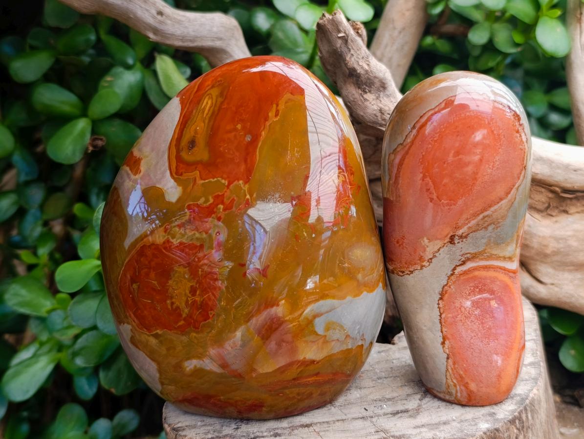 Polished Polychrome Jasper Standing Free Forms x 3 From NW Coast, Madagascar